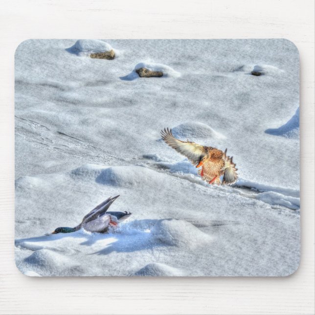 Mallard Duck Birdlover Wildlife Foto Mousepad (Vorne)