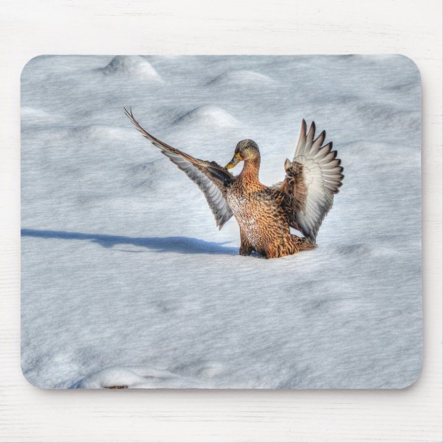 Mallard Duck Birdlover Wildlife Foto Mousepad (Vorne)
