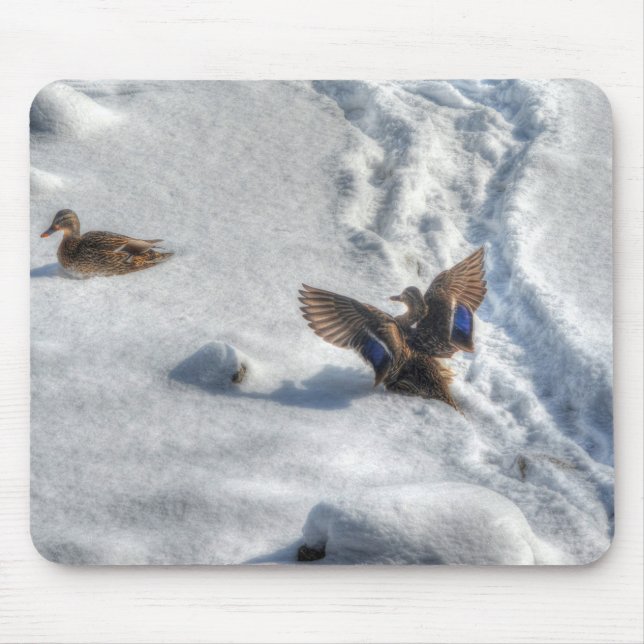 Mallard Duck Birdlover Wildlife Foto Mousepad (Vorne)
