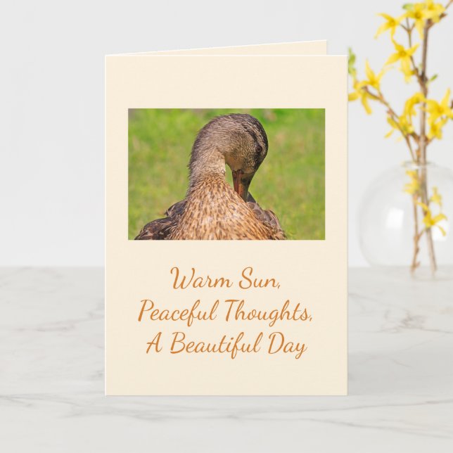 Mallard Duck Birthday Karte (Gelbe Blume)
