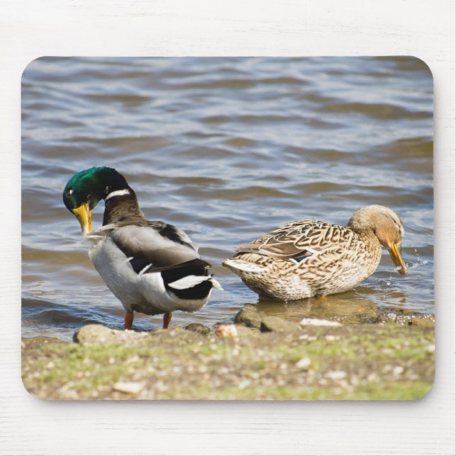 Mallard Duck Couple Mousepad (Vorne)