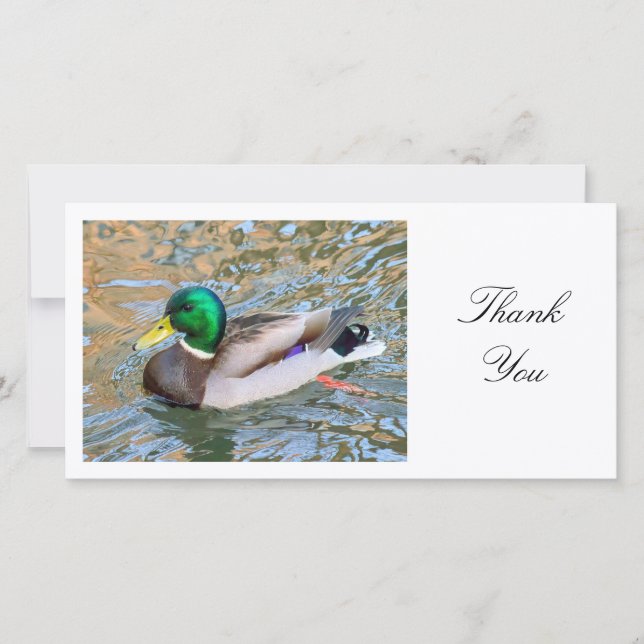 Mallard Duck - Danke (Vorderseite)