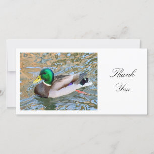 Mallard Duck - Danke