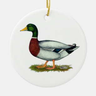 Mallard Duck Drake Keramik Ornament