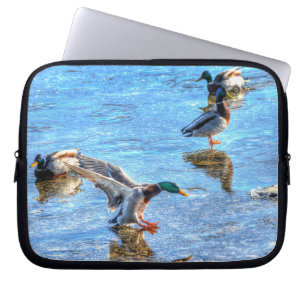 Mallard Duck Drake Landung über das Foto Eiswild Laptopschutzhülle