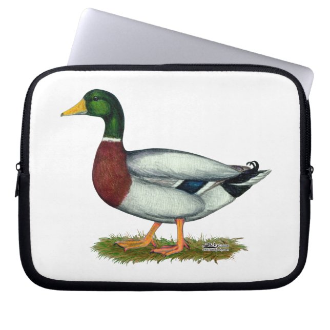 Mallard Duck Drake Laptopschutzhülle (Vorderseite)