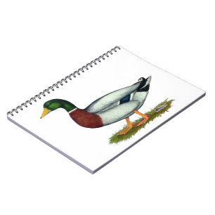 Mallard Duck Drake Notizblock