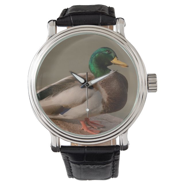 Mallard Duck Drake Watch Armbanduhr (Vorderseite)