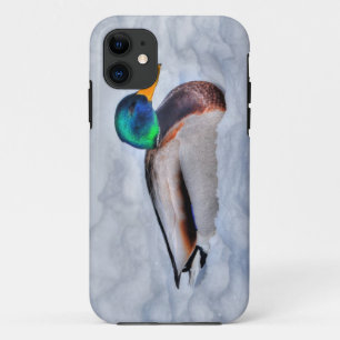 Mallard Duck Drake Wildlife Portrait Case-Mate iPhone Hülle