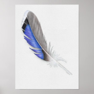 Mallard Duck Feather Watercolor Poster