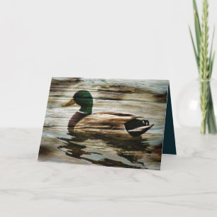 Mallard Duck Feiertagskarte