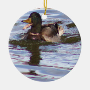 Mallard Duck Foto Ornament