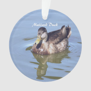 Mallard Duck Foto Ornament