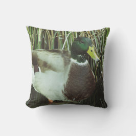 Mallard Duck Foto Wilhelm Tell Kissen