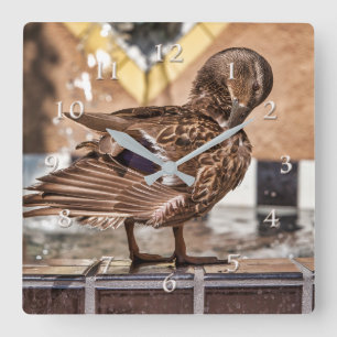 MALLARD DUCK GETAWAY RESORT WELLNESS-CENTER QUADRATISCHE WANDUHR