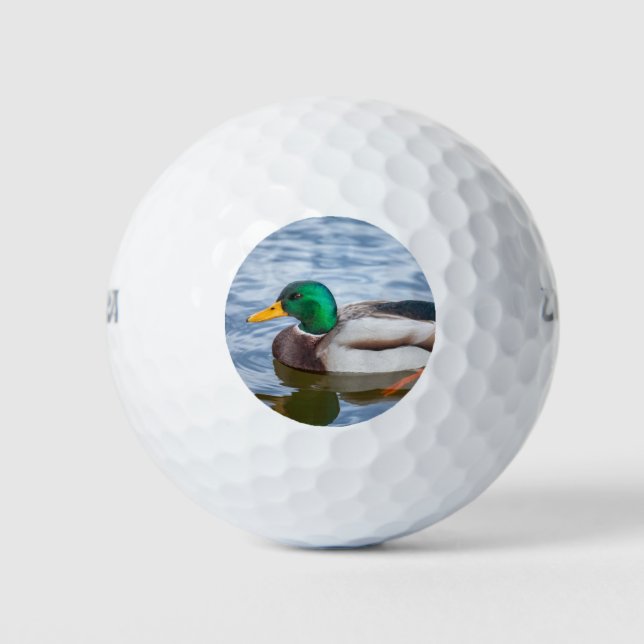 Mallard Duck Golfball (Vorderseite)