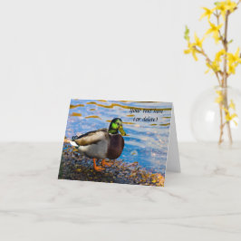 Mallard Duck Grußkarte Karte
