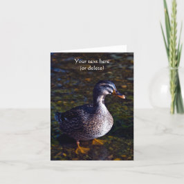 Mallard Duck Grußkarte Karte