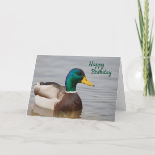 Mallard Duck Happy Birthday Card Karte