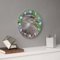 Mallard Duck Hen Foto