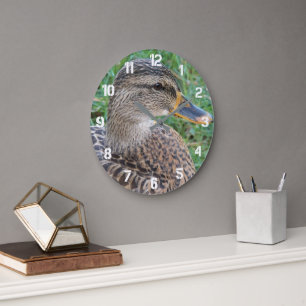 Mallard Duck Hen Foto Große Wanduhr