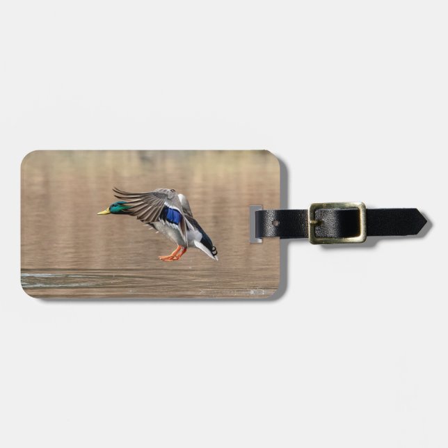 Mallard Duck im Flug Gepäckanhänger (Vorderseite horizontal)
