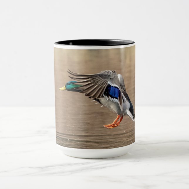 Mallard Duck im Flug Tasse (Zentrum)