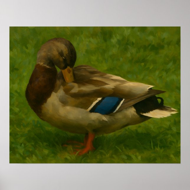 Mallard Duck in Meadow Light Poster (Vorne)