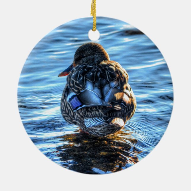 Mallard Duck in Winter River - Wildlife Foto Keramik Ornament (Hinten)