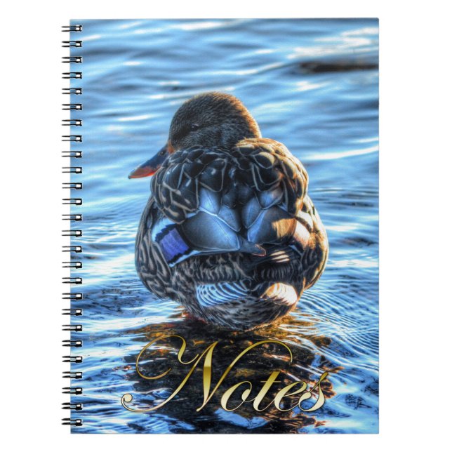 Mallard Duck in Winter River - Wildlife Foto Notizblock (Vorderseite)