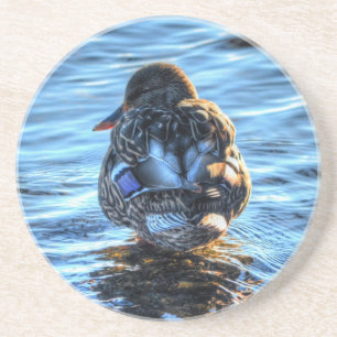 Mallard Duck in Winter River - Wildlife Foto Untersetzer