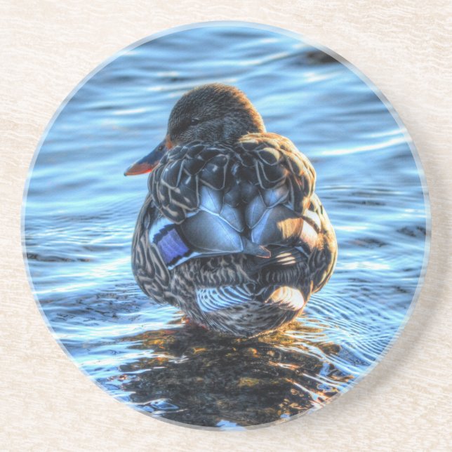 Mallard Duck in Winter River - Wildlife Foto Untersetzer (Vorne)