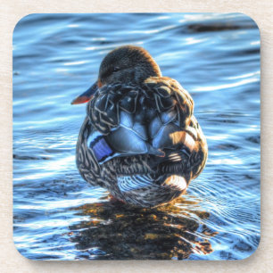 Mallard Duck in Winter River - Wildlife Foto Untersetzer