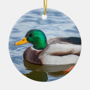 Mallard Duck Keramik Ornament