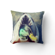 Mallard Duck