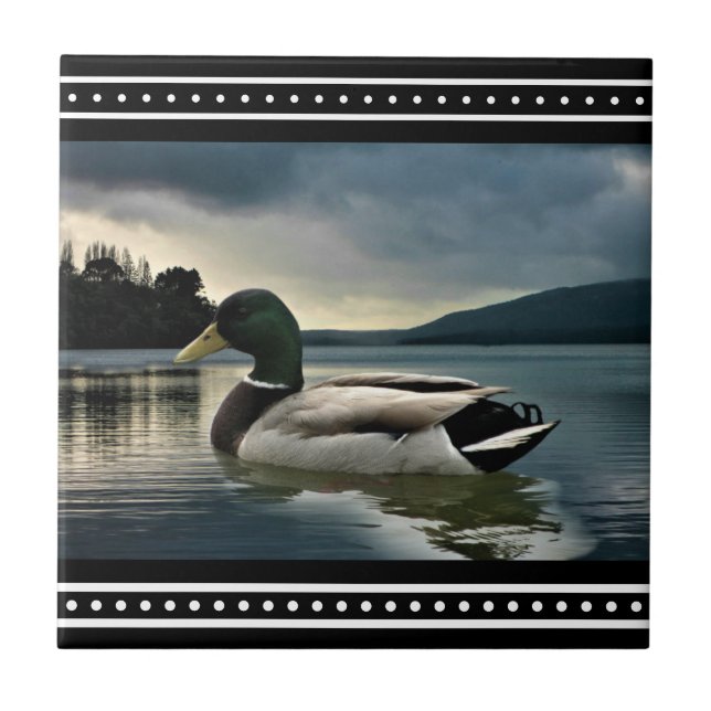 Mallard Duck Lake Fliese (Vorderseite)