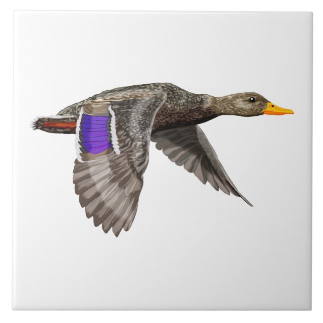 Mallard Duck Lovers Fliese (Vorderseite)