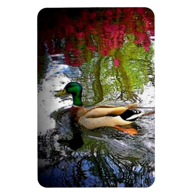 Mallard Duck Magnet (Vertikal)