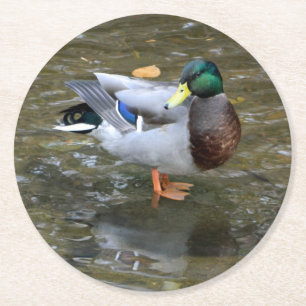 Mallard Duck (männlich)Paper-Untersetzer Runder Pappuntersetzer