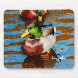 Mallard Duck Mousepad