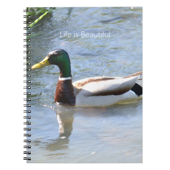 Mallard Duck (my photography) Notizblock (Vorderseite)