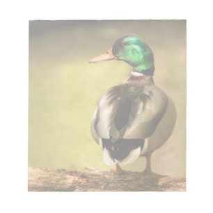 Mallard Duck Notizblock