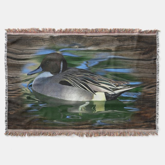 Mallard Duck on Lake Decke (Vorderseite)