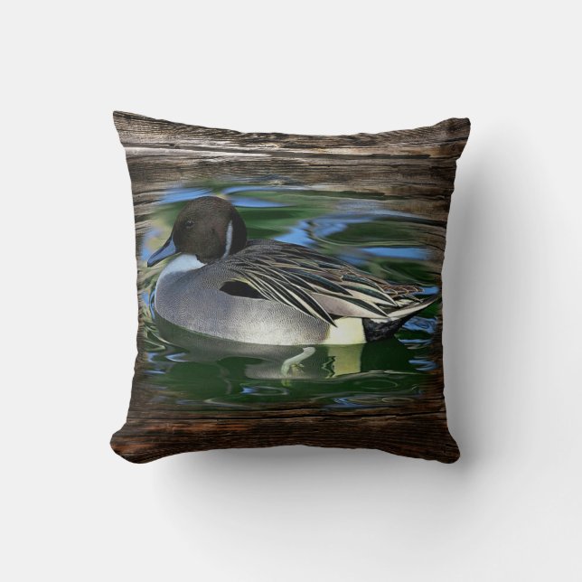 Mallard Duck on Lake Kissen (Vorderseite)