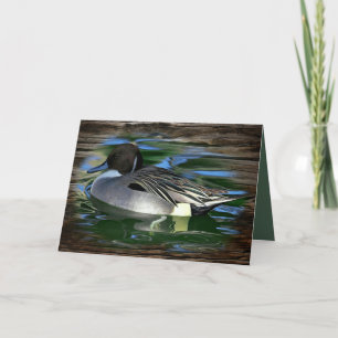 Mallard Duck on The Lake Dankeskarte