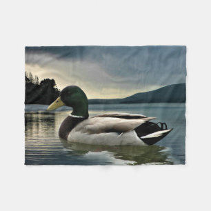 Mallard Duck on The Lake Fleecedecke