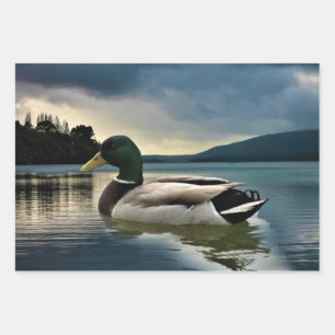 Mallard Duck on The Lake Geschenkpapier Set