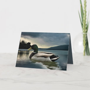 Mallard Duck on The Lake Karte