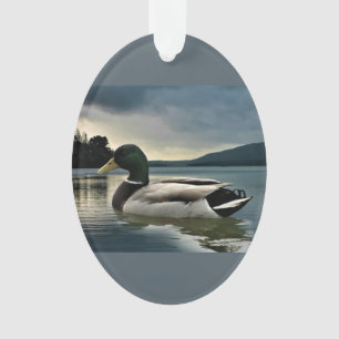 Mallard Duck on The Lake Ornament