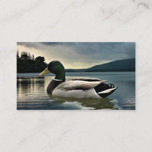 Mallard Duck On The Lake Visitenkarte